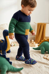 Make It Yours – Personalized Dinno Pattern Booties for Babies | Non-Slip, Cotton, Unisex